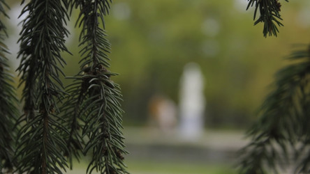 Similar image 22371023