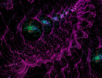 Similar image 22352008