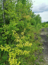 Similar image 22349329