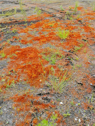 Similar image 22349331