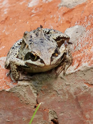 Similar image 22349332