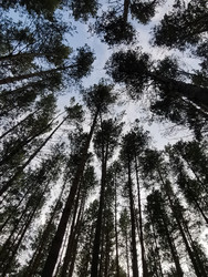 Similar image 22349355