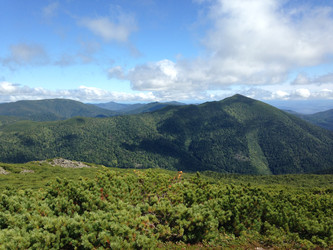 Similar image 22349364