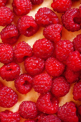 Similar image 22348558