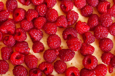 Similar image 22350811