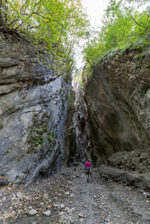 Similar image 22353412