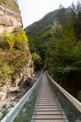 Similar image 22353431