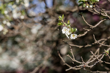 Similar image 22350394