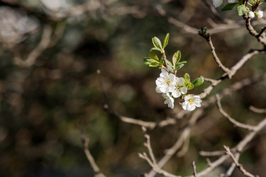 Similar image 22350396