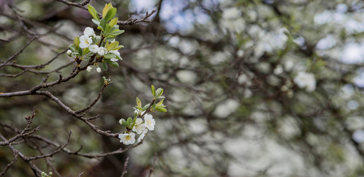 Similar image 22350415