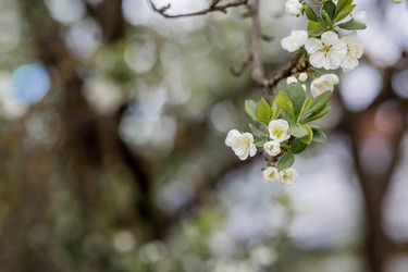 Similar image 22350417