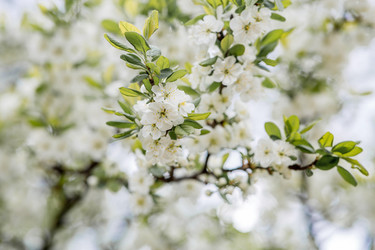 Similar image 22350418