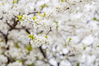 Similar image 22350427