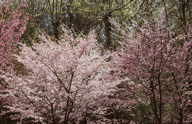 Similar image 22350433