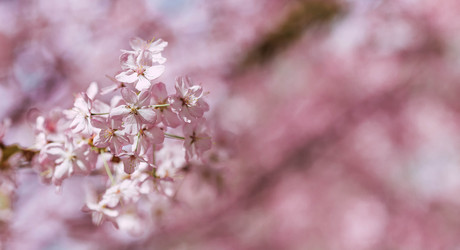 Similar image 22349910