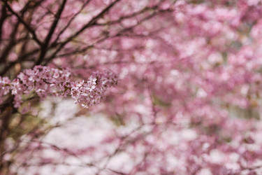 Similar image 22349911