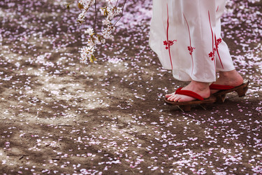 Similar image 22350231