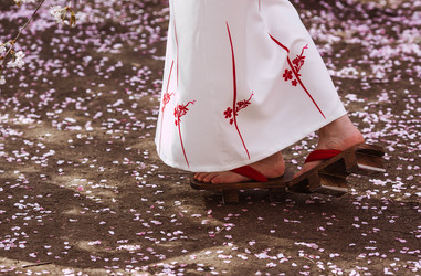 Similar image 22350232