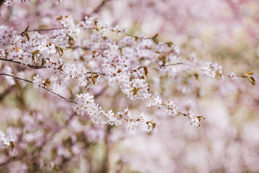 Similar image 22350235