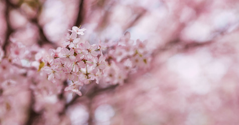 Similar image 22350241