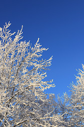 Similar image 22350075