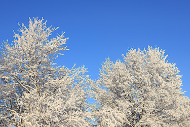 Similar image 22350091