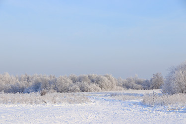 Similar image 22350094