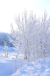 Similar image 22350106