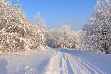 Similar image 22350226