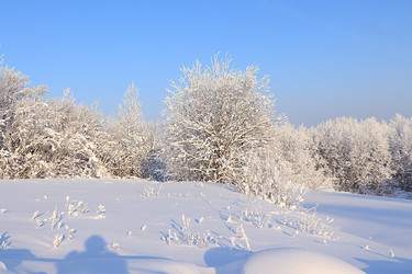 Similar image 22350229