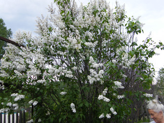 Similar image 22358727