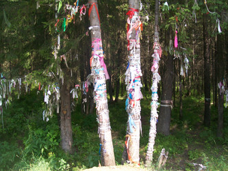 Similar image 22357750