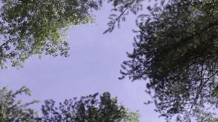 Similar image 22360155