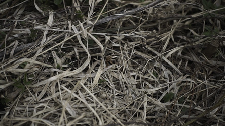 Similar image 22363439