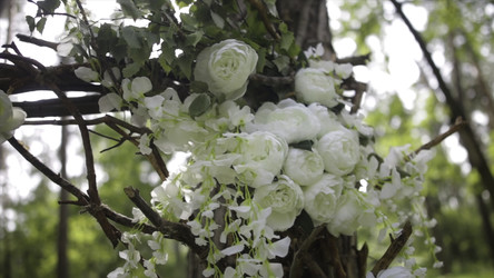 Similar image 22367793