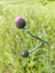 Similar image 22366949