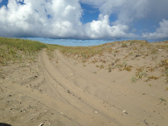 Similar image 22349299