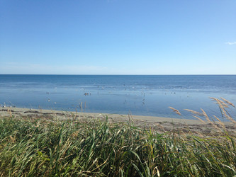 Similar image 22349304