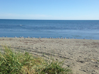 Similar image 22349305