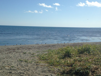 Similar image 22349306