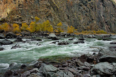 Similar image 22348260