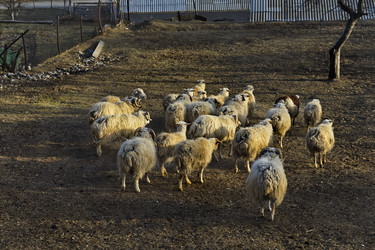 Similar image 22348202