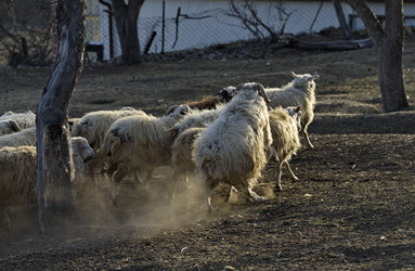 Similar image 22348204