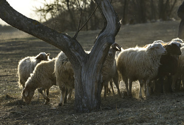 Similar image 22348208