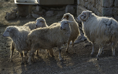 Similar image 22348211