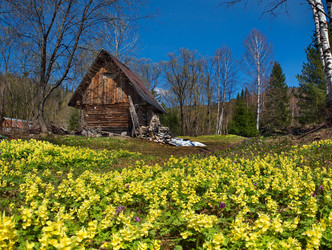 Similar image 22348216