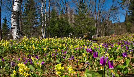 Similar image 22348219