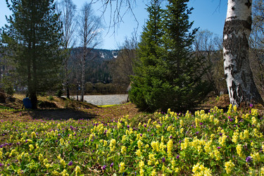 Similar image 22348221