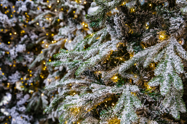 Similar image 22349555