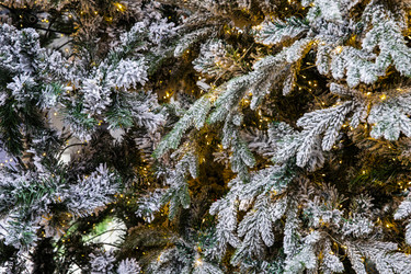 Similar image 22349556